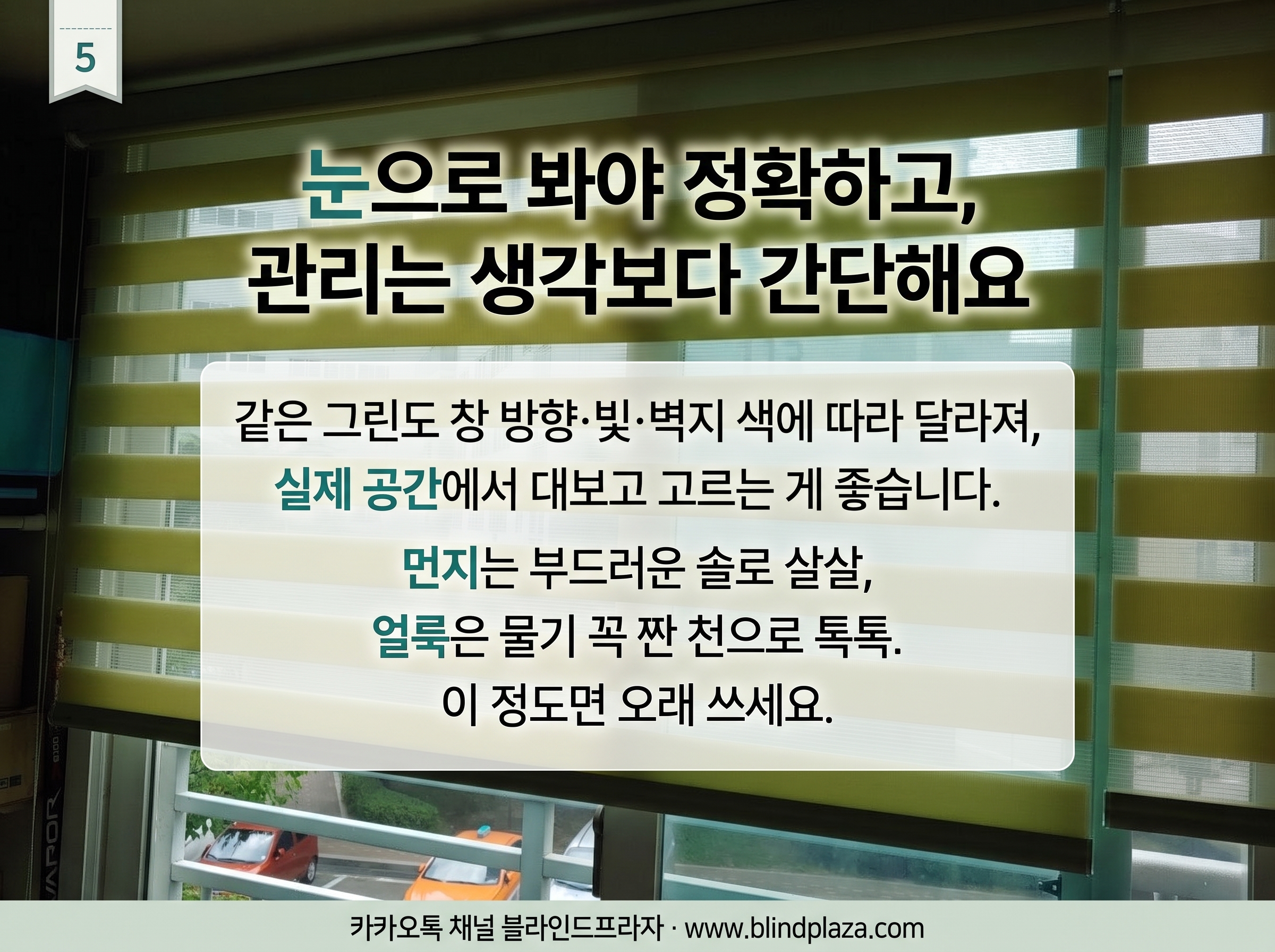 창 너머 빛이 들어오는 거실의 그린 콤비블라인드